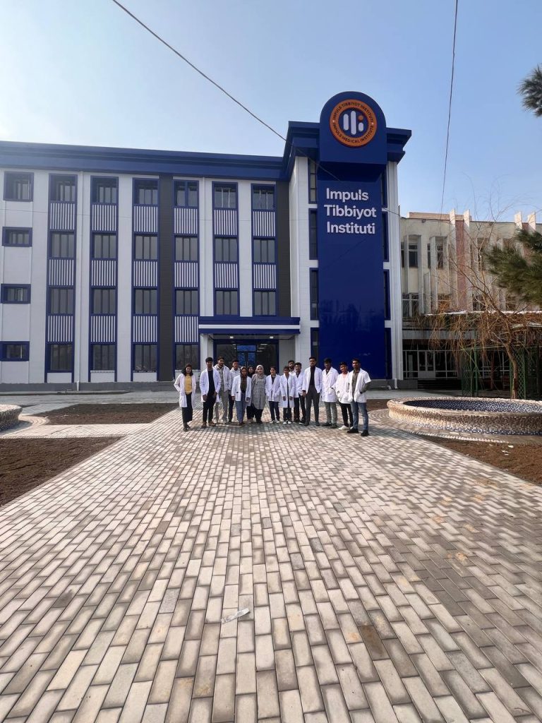 MBBS students discussions Impuls institute 2
